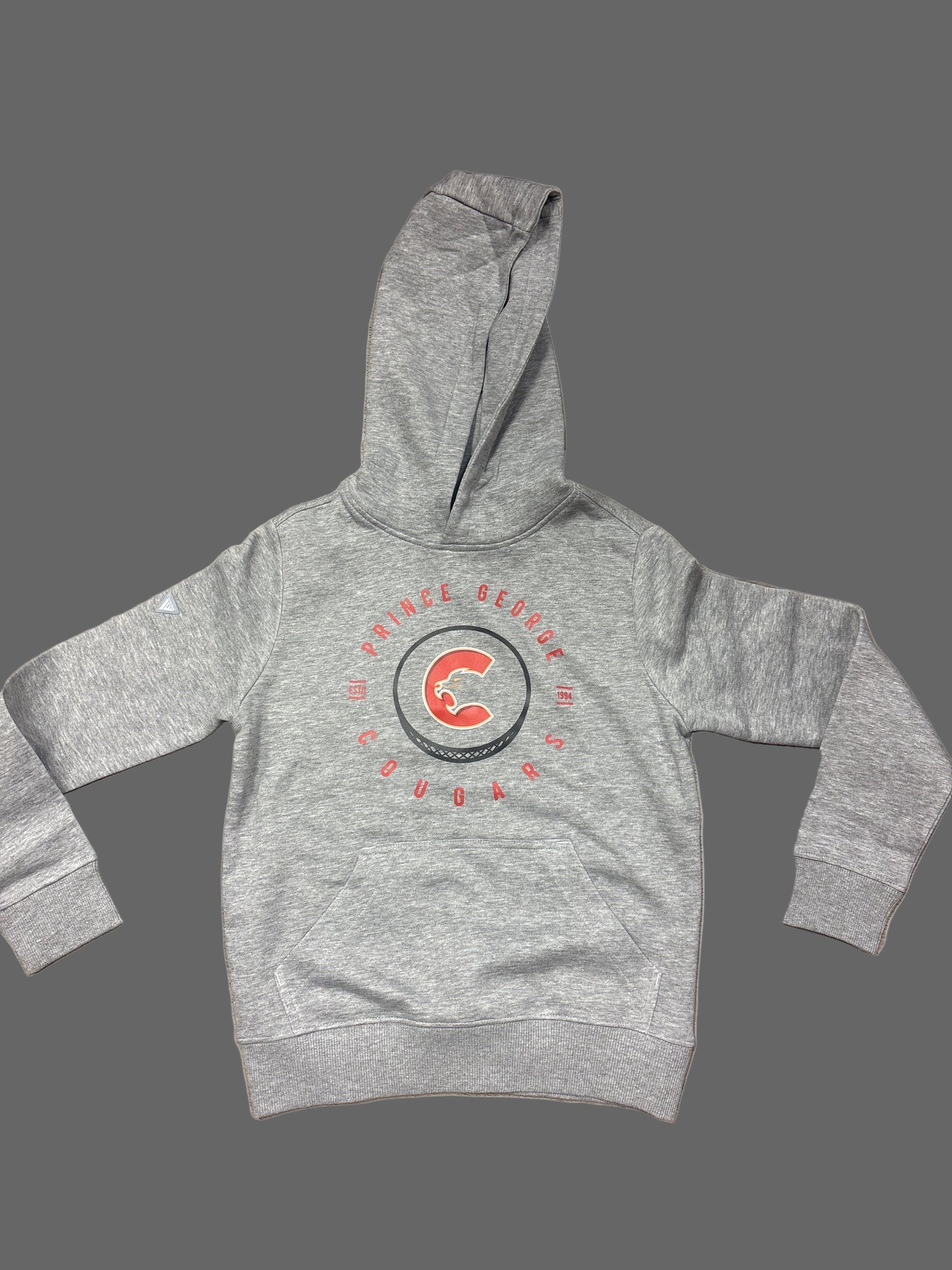 Grey youth hoodie