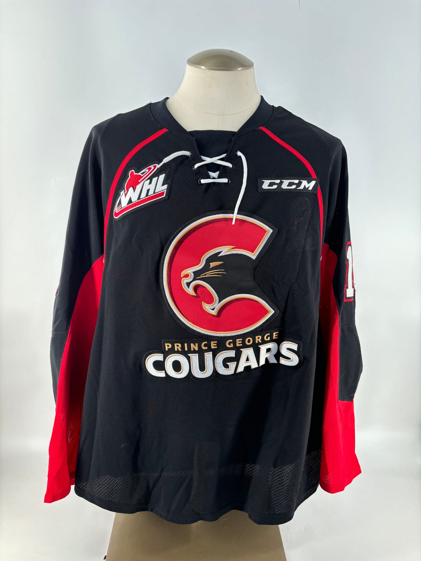 COLLINS, Shane 2015-2016