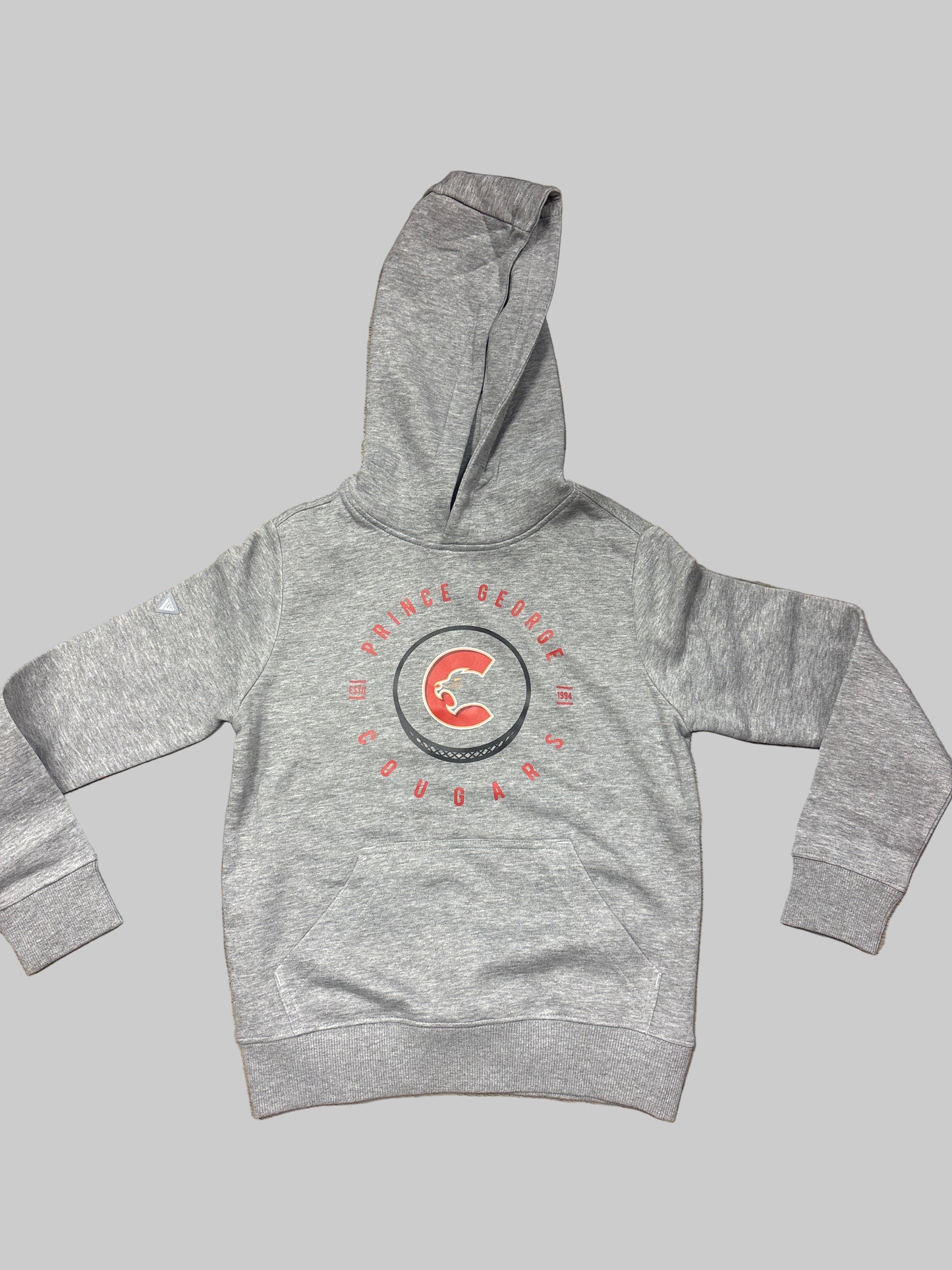 Grey youth hoodie