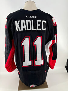 KADLEC 2016-2017