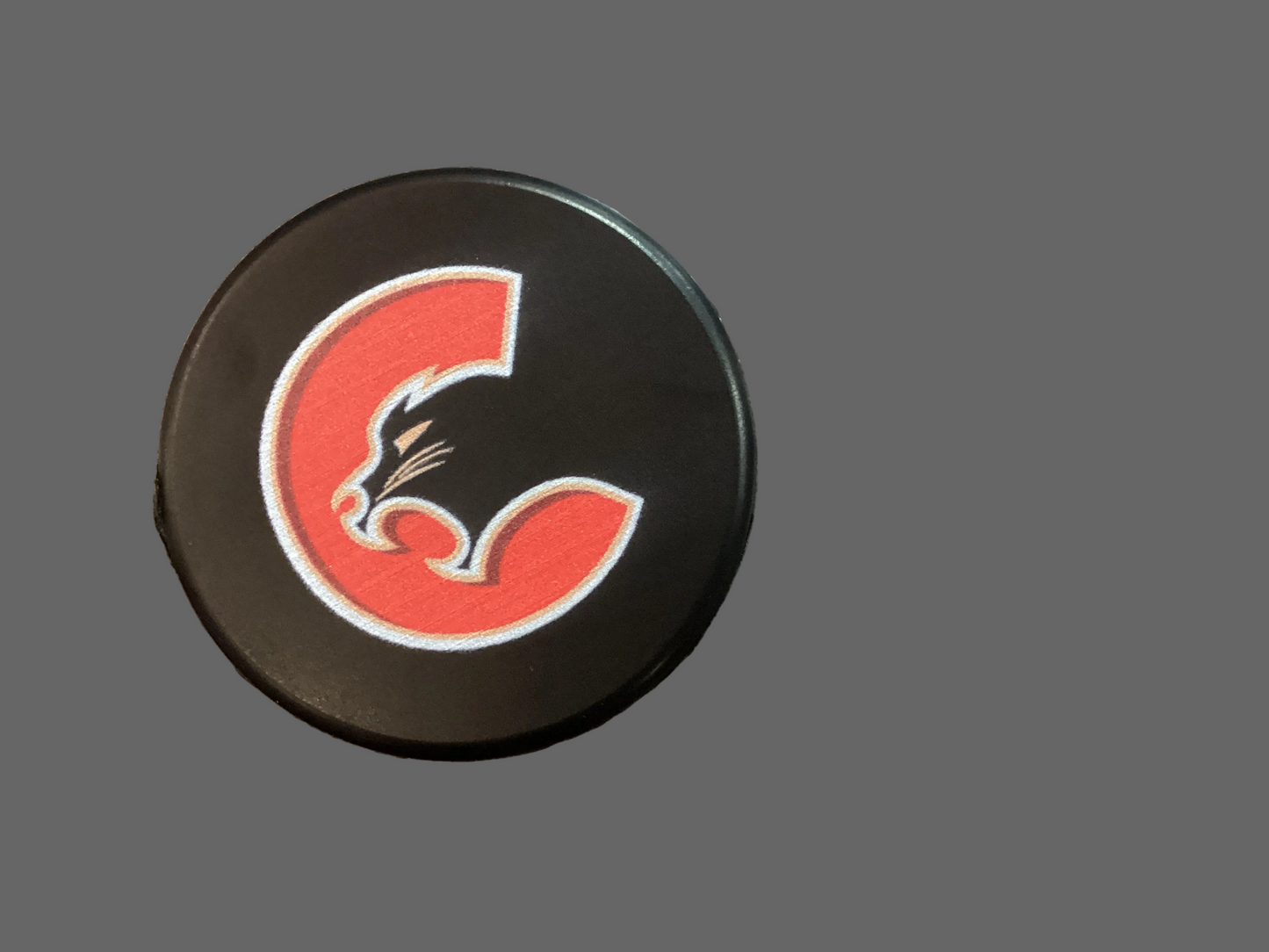 Soft puck