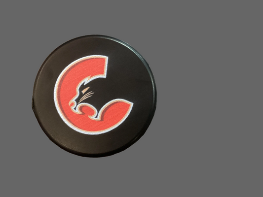 Soft puck