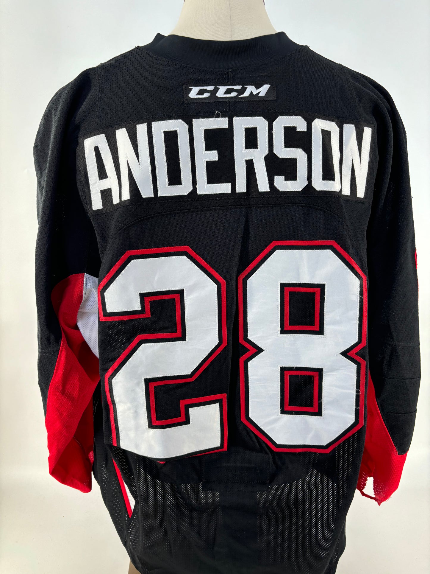 ANDERSON, Josh 2015-2016